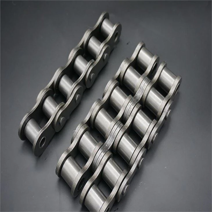 Trung Quốc Nhà cung cấp truyền tải điện Roller Chain16B-1R 2R 3R